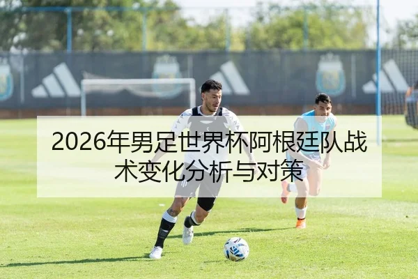 2026年男足世界杯阿根廷队战术变化分析与对策