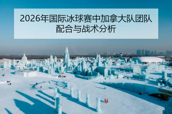 2026年国际冰球赛中加拿大队团队配合与战术分析