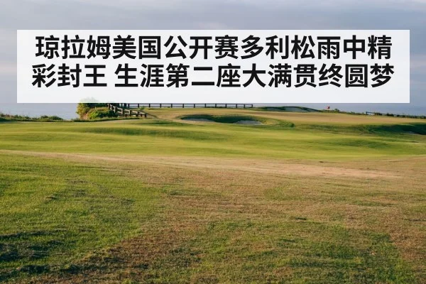 琼拉姆美国公开赛多利松雨中精彩封王 生涯第二座大满贯终圆梦