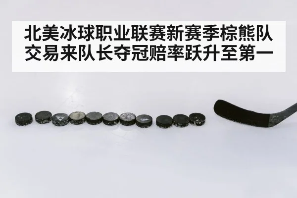 北美冰球职业联赛新赛季棕熊队交易来队长夺冠赔率跃升至第一